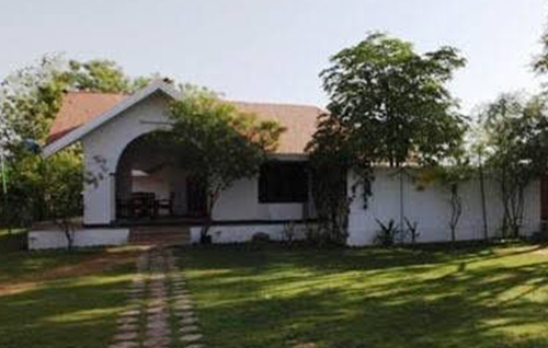 Farm House, Jam Doli